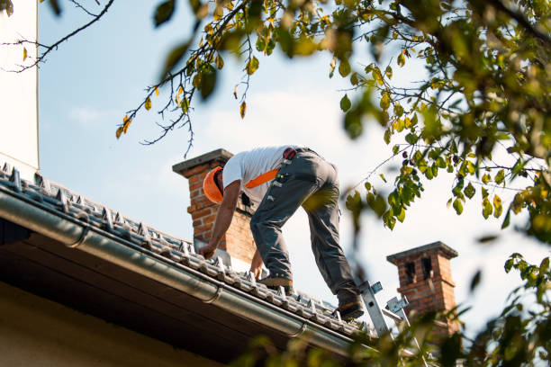 Best Emergency Roof Repair Services  in Washburn, WI